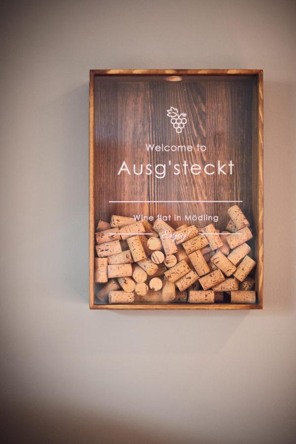 Appartement Ausg'Steckt - Wine Flat Modling - Great Location Extérieur photo